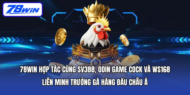 78WIN hợp tác cùng SV388, Odin Game Cock và WS168 – liên minh trường gà hàng đầu châu Á